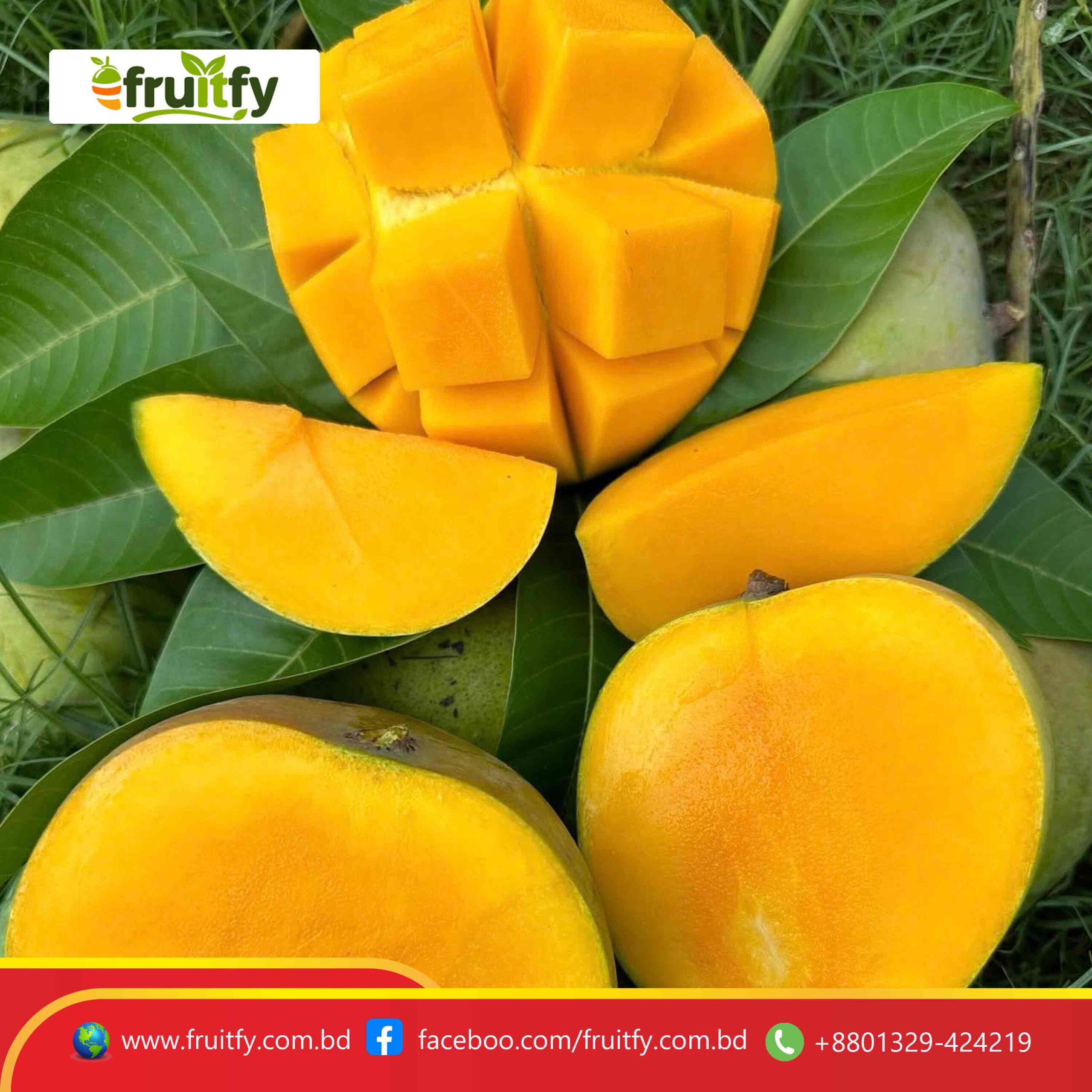 সুস্বাদু গোবিন্দভোগ আমের প্রাকৃতিক রঙ