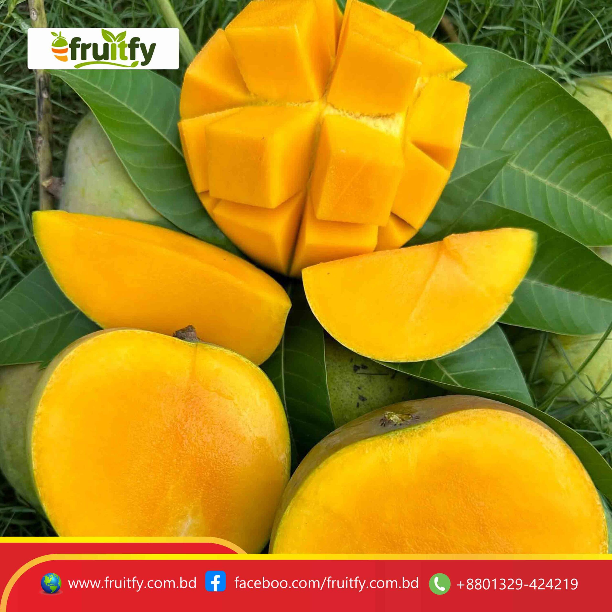ঝুড়ি ভর্তি তাজা গোবিন্দভোগ আম