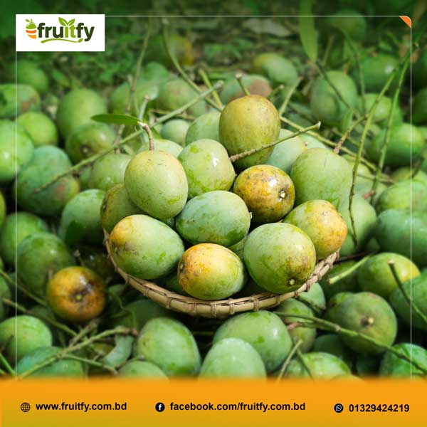গাছ থেকে তোলা টাটকা হিমসাগর আমের ছবি